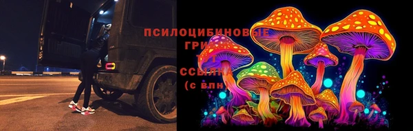ALPHA PVP Алексеевка