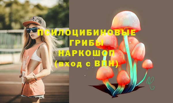 mdpv Армянск
