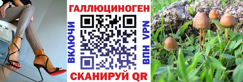 Галлюциногенные грибы GOLDEN TEACHER  блэк спрут рабочий сайт  Тетюши 